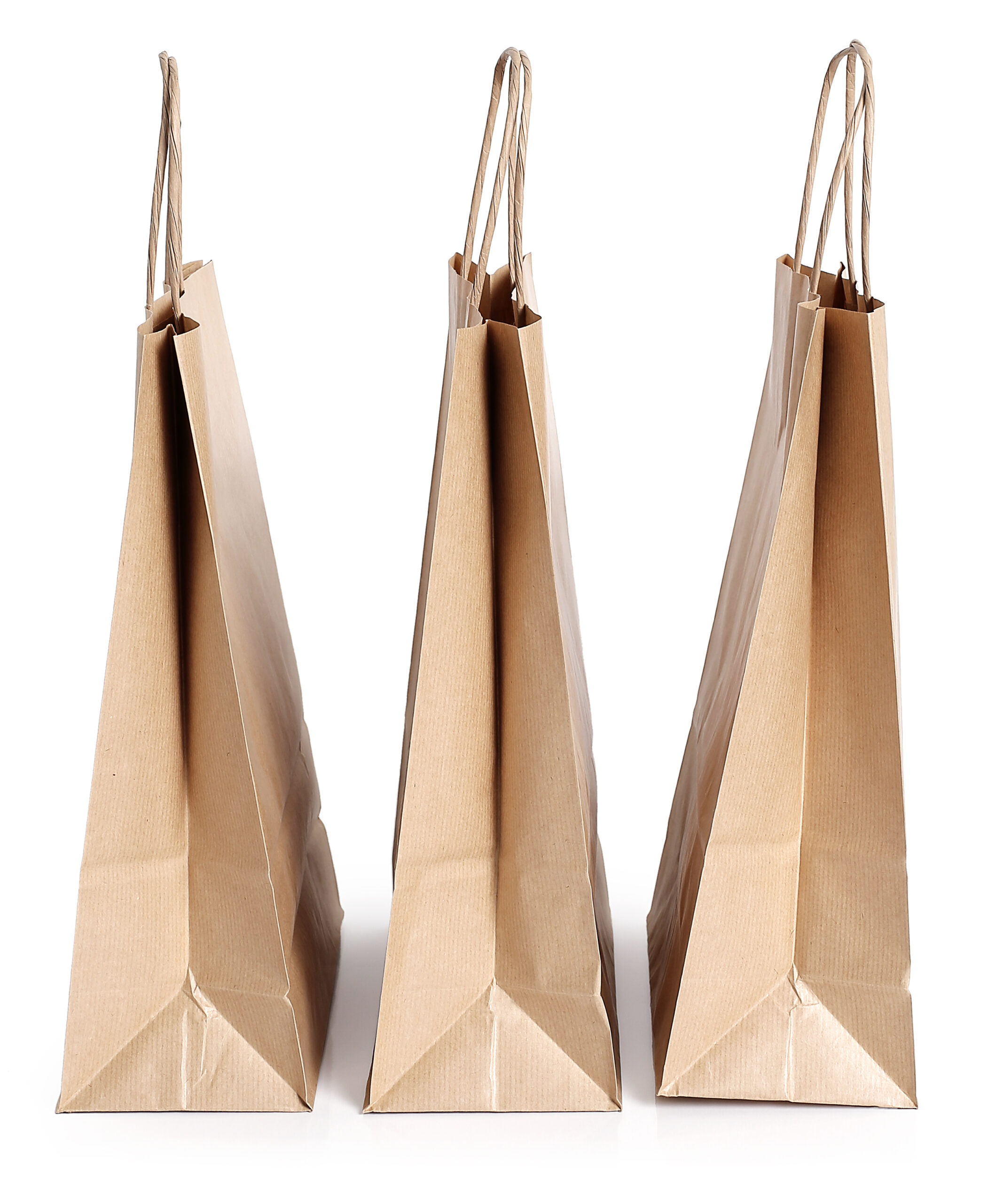 Twisted Paper Bags