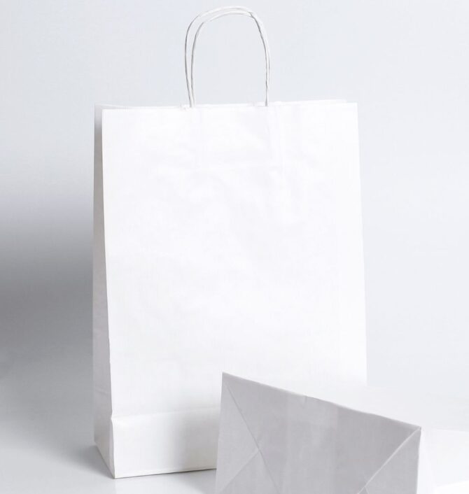 Twisted Paper Handle Bag (White)