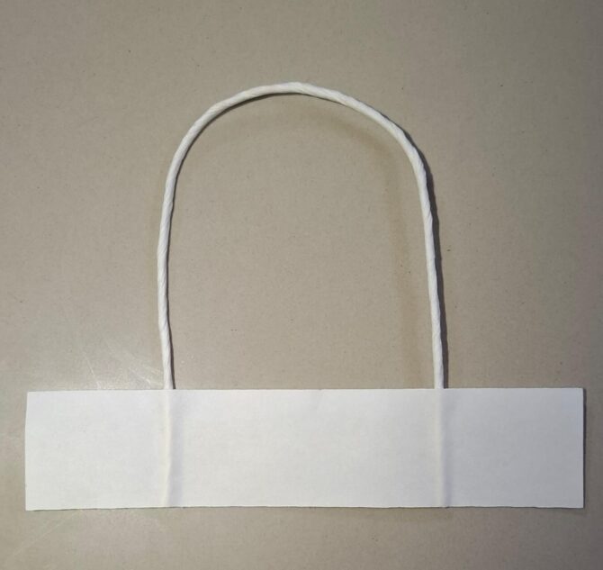 Twisted Paper Handle Bag (White)