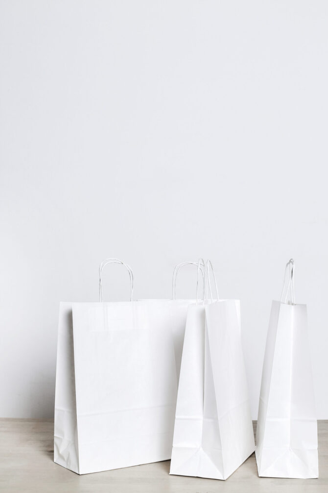 Twisted Paper Handle Bag (White)