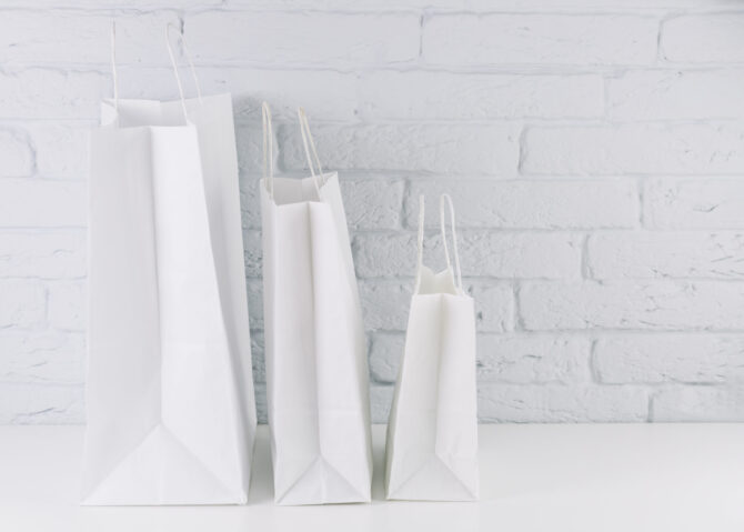 Twisted Paper Handle Bag (White)